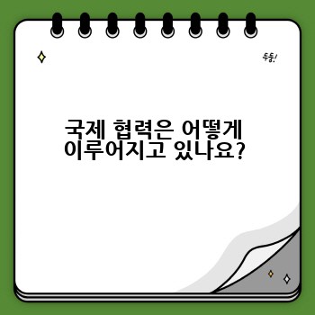 국제 협력은 어떻게 이루어지고 있나요?