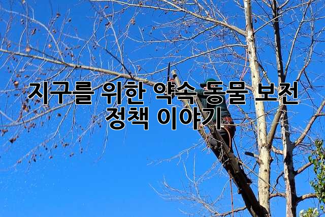 지구를 위한 약속: 동물 보전 정책 이야기