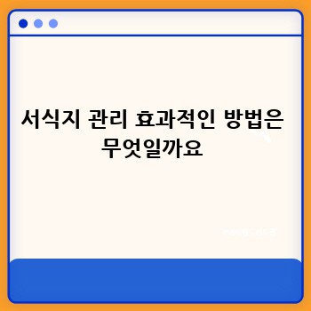 서식지 관리 효과적인 방법은 무엇일까요