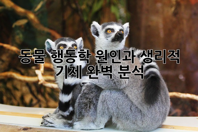 동물 행동학: 원인과 생리적 기제 완벽 분석