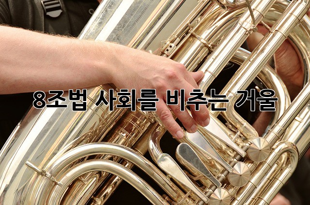 8조법: 사회를 비추는 거울