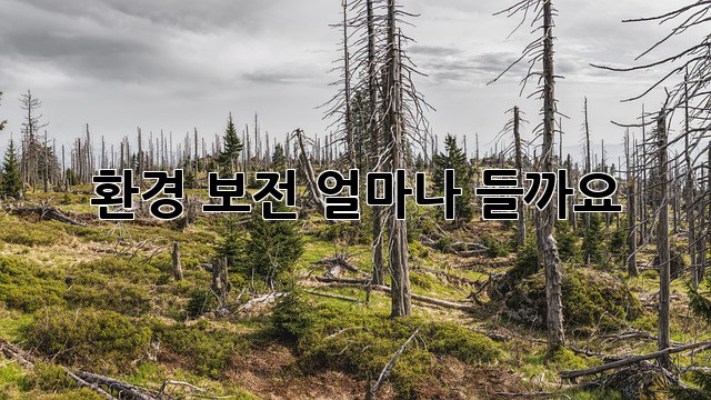 환경 보전, 얼마나 들까요?