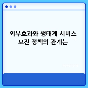 외부효과와 생태계 서비스 보전 정책의 관계는