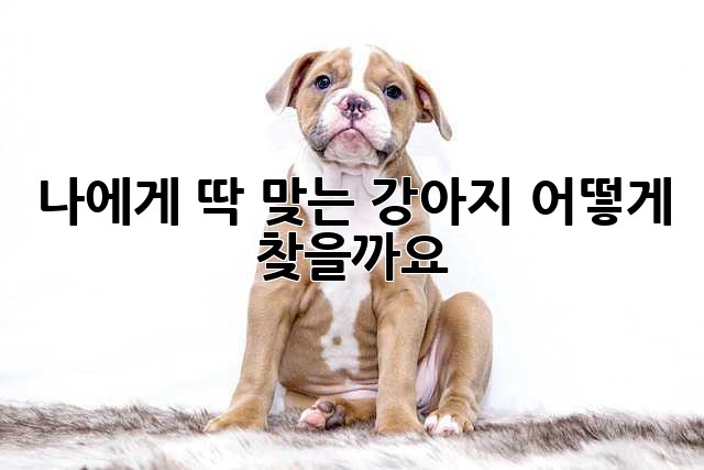 나에게 딱 맞는 강아지, 어떻게 찾을까요?