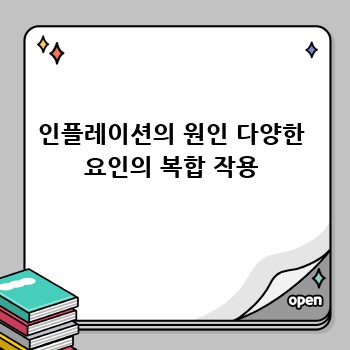 인플레이션의 원인 다양한 요인의 복합 작용