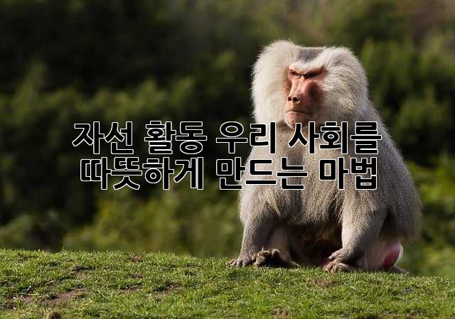 자선 활동: 우리 사회를 따뜻하게 만드는 마법