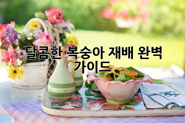 달콤한 복숭아 재배, 완벽 가이드!