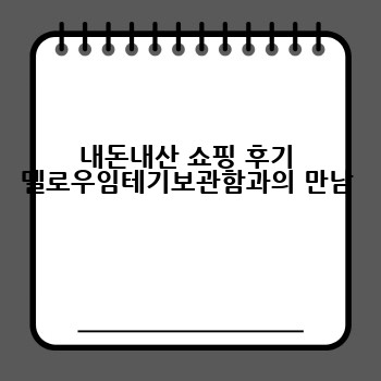 내돈내산 쇼핑 후기 멜로우임테기보관함과의 만남