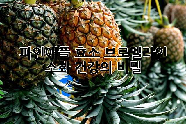 파인애플 효소 브로멜라인: 소화 건강의 비밀