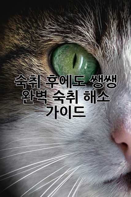 숙취 후에도 쌩쌩! 완벽 숙취 해소 가이드