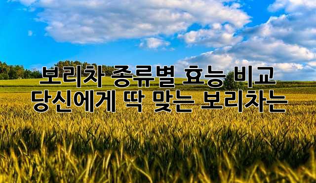 보리차 종류별 효능 비교: 당신에게 딱 맞는 보리차는?