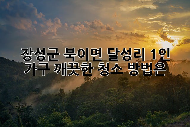 장성군 북이면 달성리 1인 가구, 깨끗한 청소 방법은?