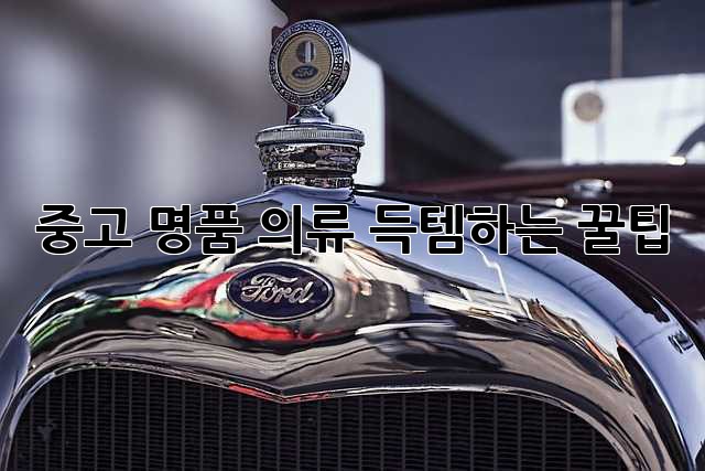 중고 명품 의류, 득템하는 꿀팁!