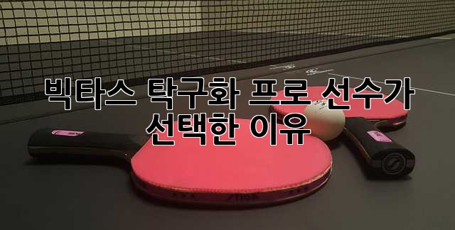 빅타스 탁구화: 프로 선수가 선택한 이유