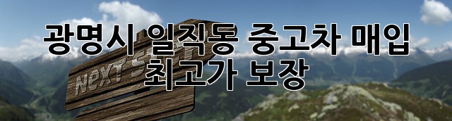 광명시 일직동 중고차 매입 최고가 보장!