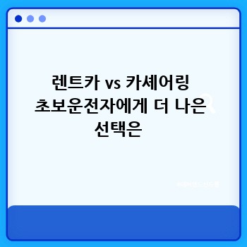 렌트카 vs 카셰어링 초보운전자에게 더 나은 선택은 