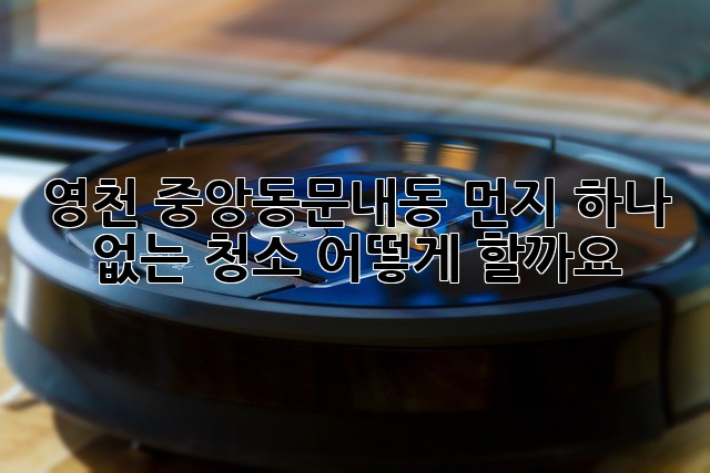 영천 중앙동/문내동 먼지 하나 없는 청소, 어떻게 할까요?