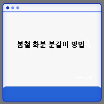 봄철 화분 분갈이 방법